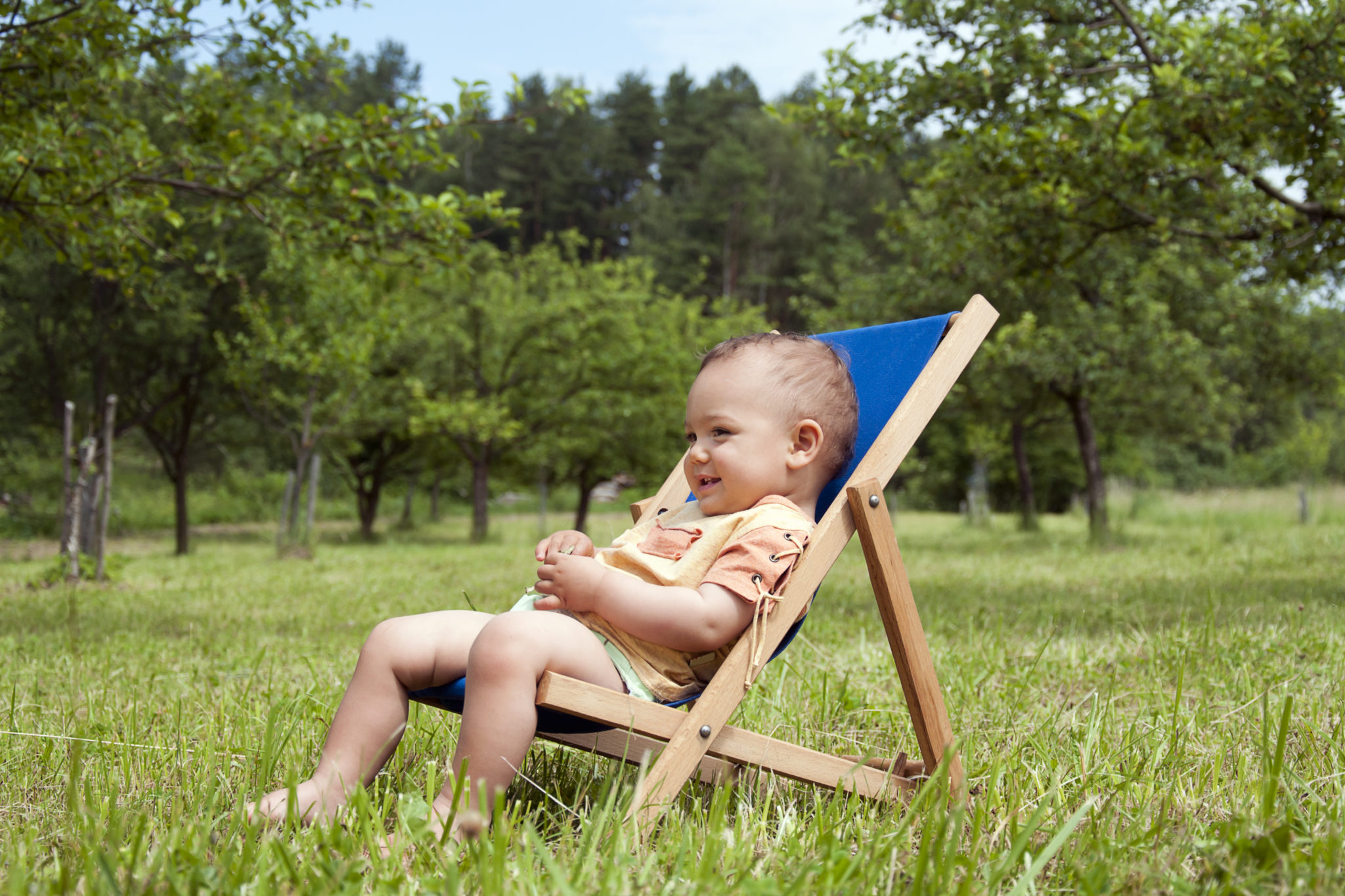 Toddler Camping Chair (Review & Buying Guide) CAMPR CLICK