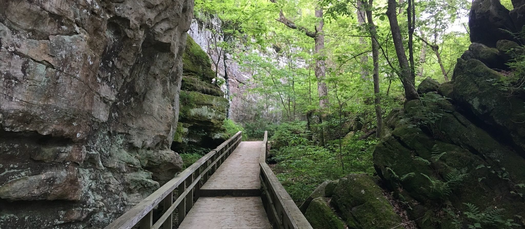 Explore this beautiful scenic hike by visiting Giant City State Park for a lovely afternoon hike this summer.