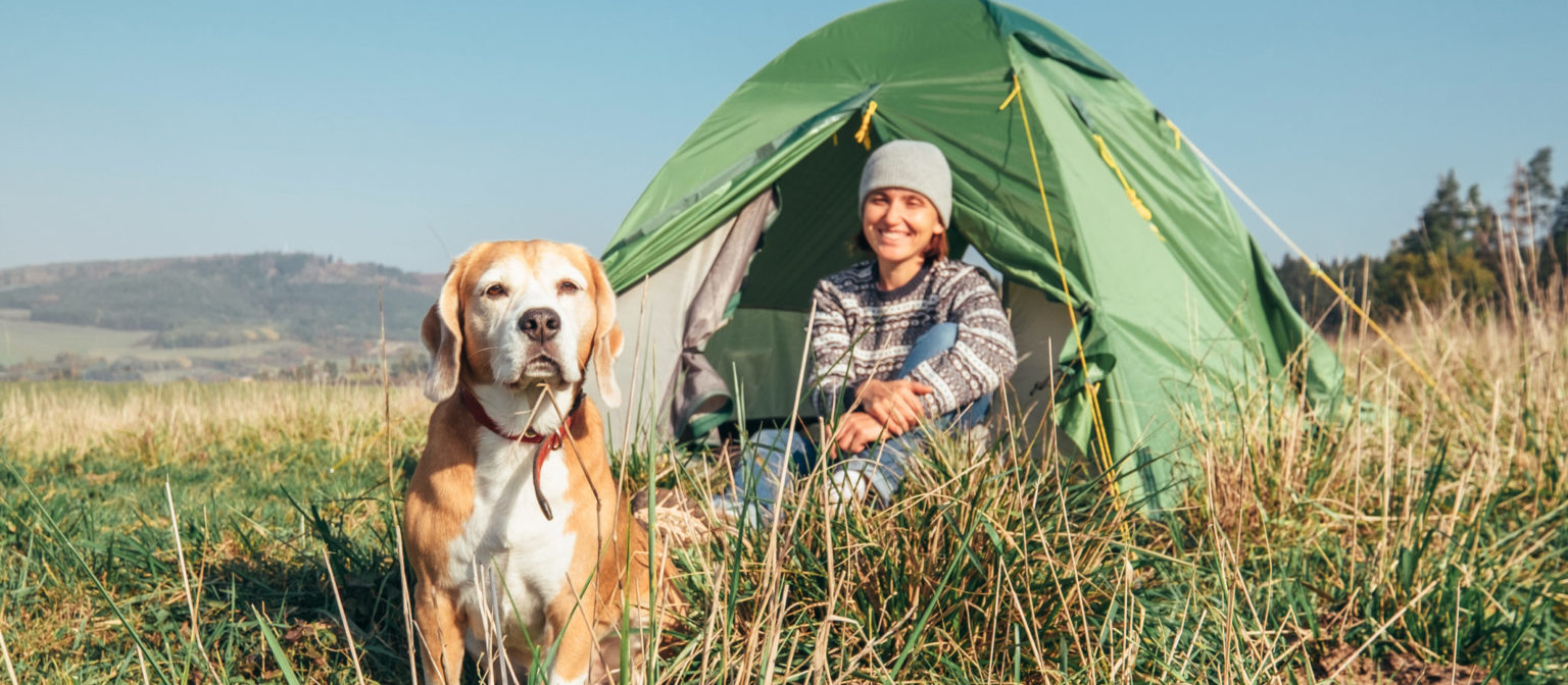 top-10-dog-friendly-vacation-spots-for-outdoor-enthusiasts